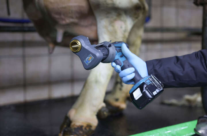 SHOOF Kuhschwanztrimmer TailWell Titanium